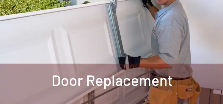  Door Replacement 