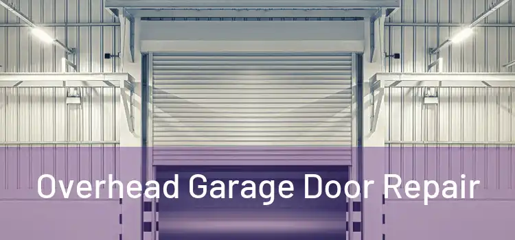  Overhead Garage Door Repair 